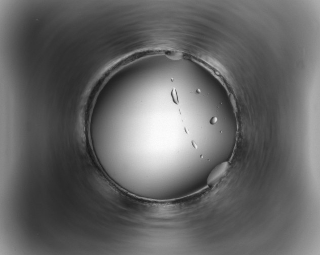 X0000088681120200706071421
