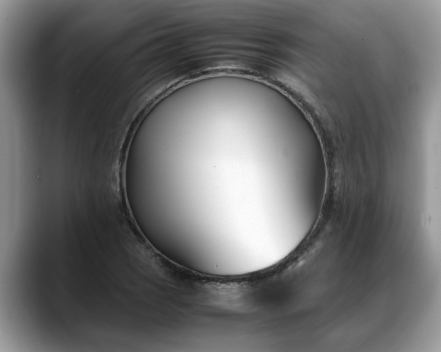 X0000088681121200706071421