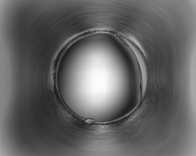 X0000088681124200706071421