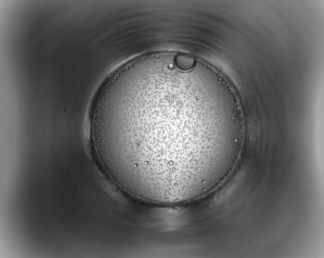 X0000088681125200706071421