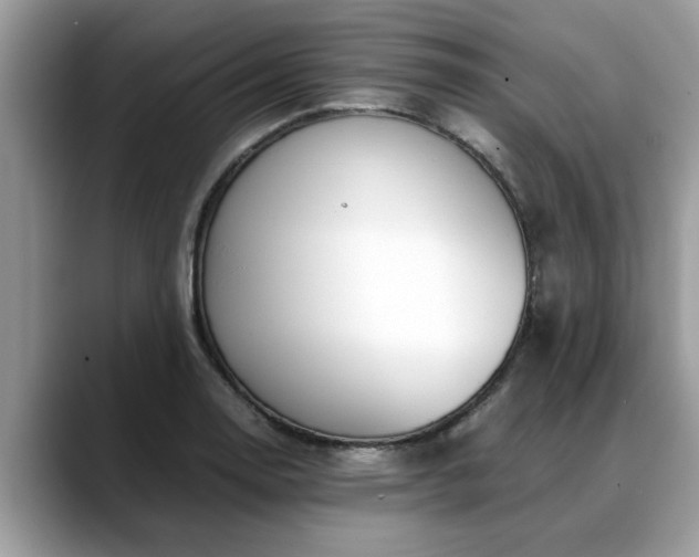X0000088681130200706071421