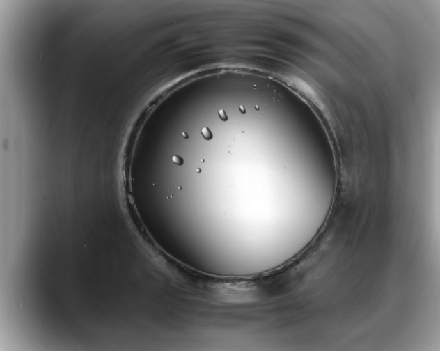 X0000088681133200706071421