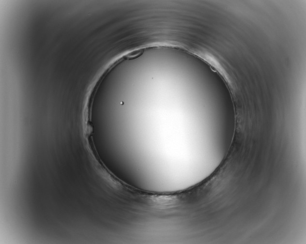 X0000088681140200706071421