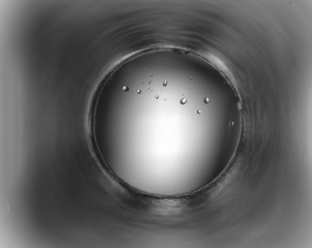 X0000088681141200706071421