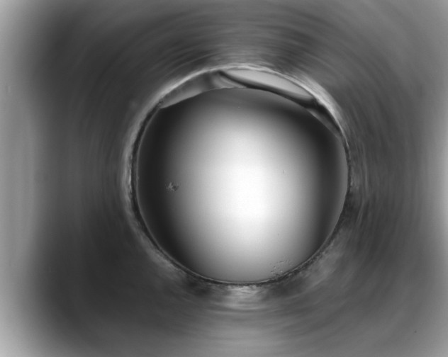 X0000088681144200706071421