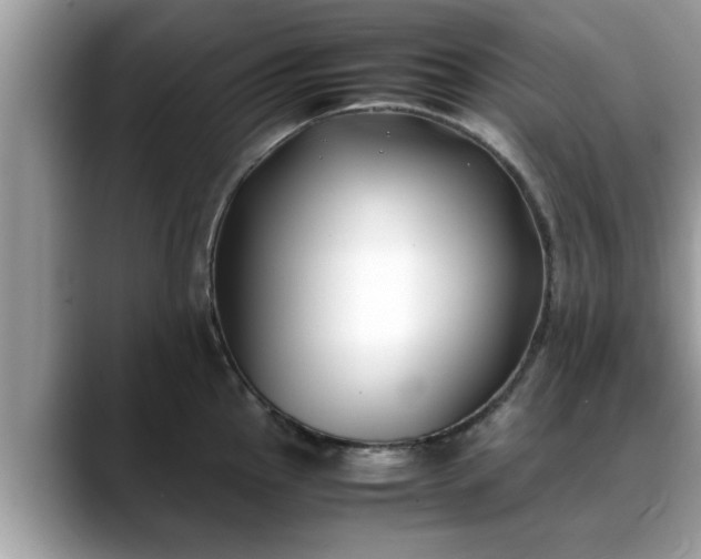 X0000088681145200706071421