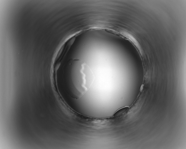 X0000088681146200706071421