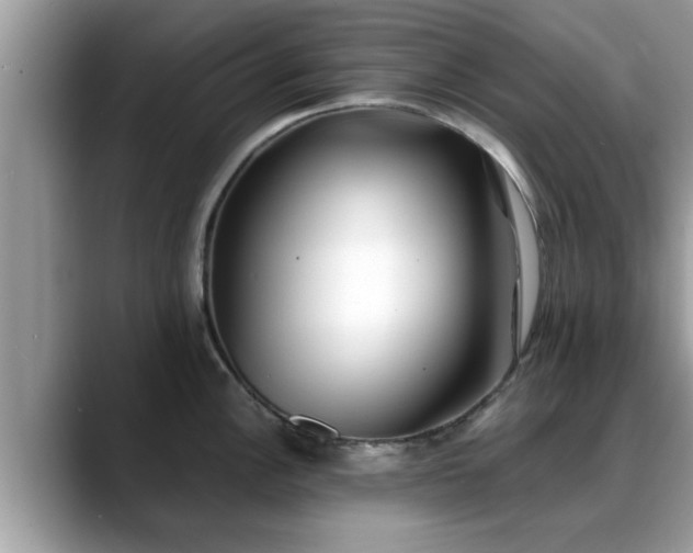 X0000088681148200706071421
