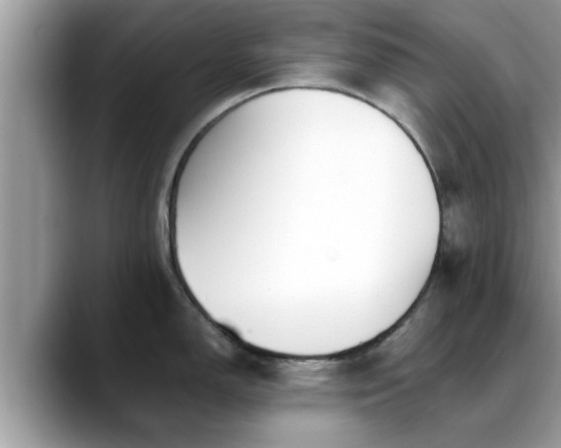 X0000088681150200706071421