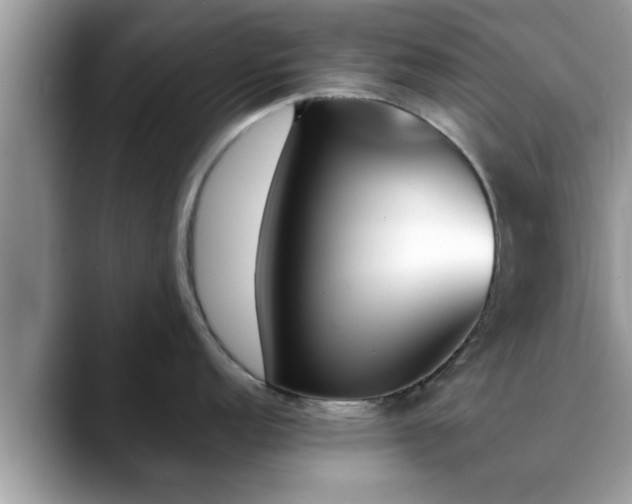 X0000088681152200706071421