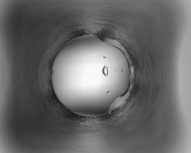 X0000088681153200706071420
