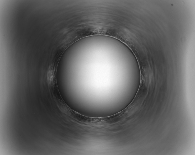X0000088681154200706071420