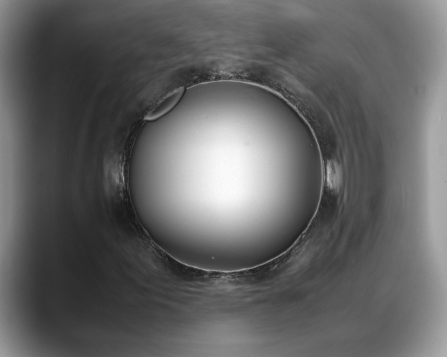 X0000088681155200706071420