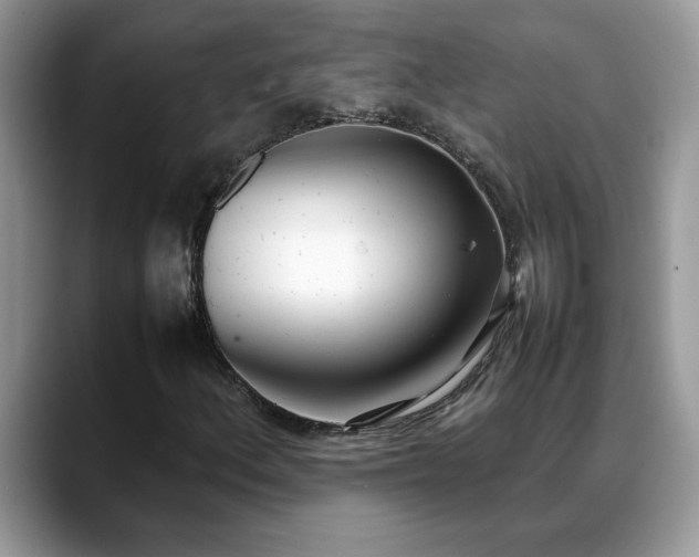 X0000088681156200706071420