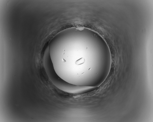 X0000088681157200706071420