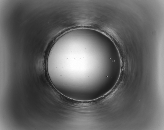 X0000088681164200706071420