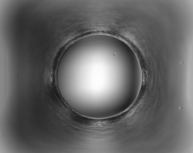 X0000088681165200706071420