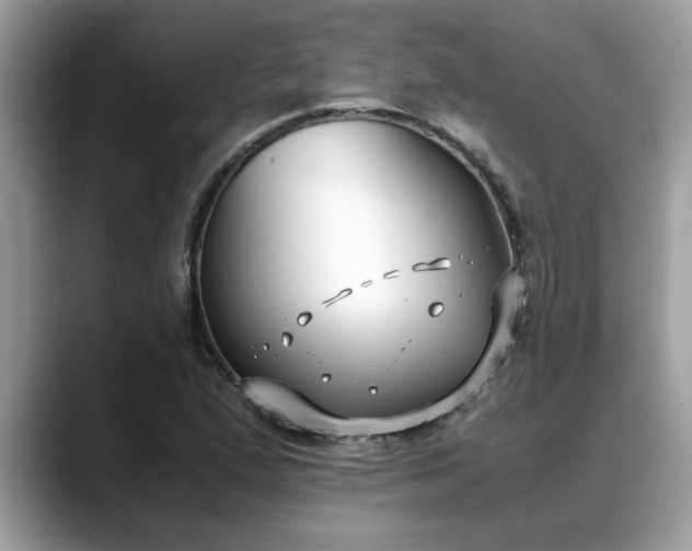 X0000088681167200706071420
