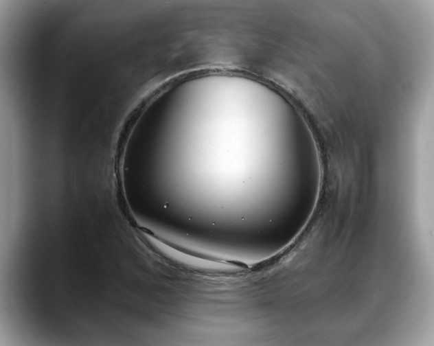 X0000088681168200706071420