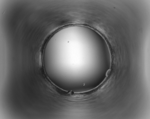 X0000088681171200706071420