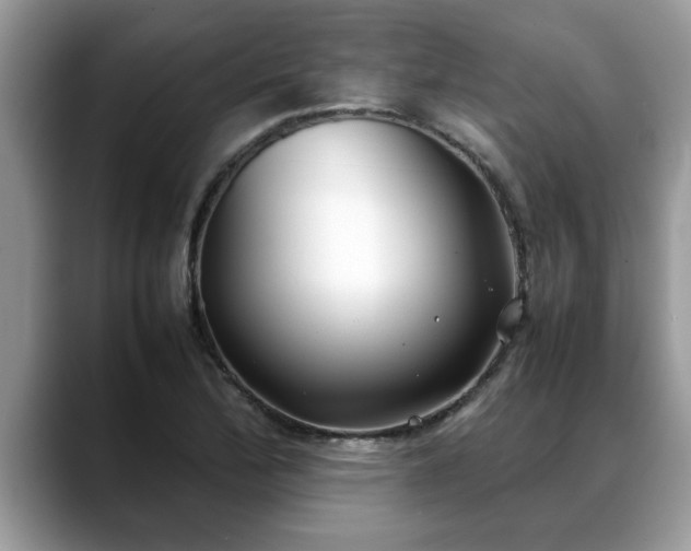 X0000088681172200706071420