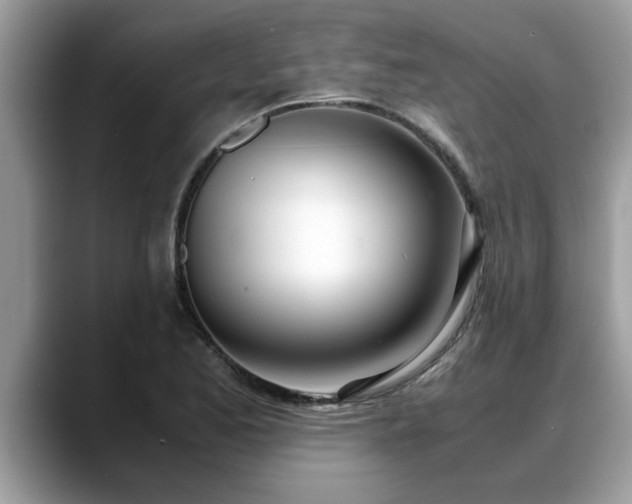 X0000088681173200706071420