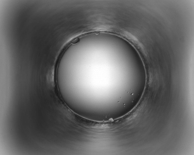 X0000088681174200706071420