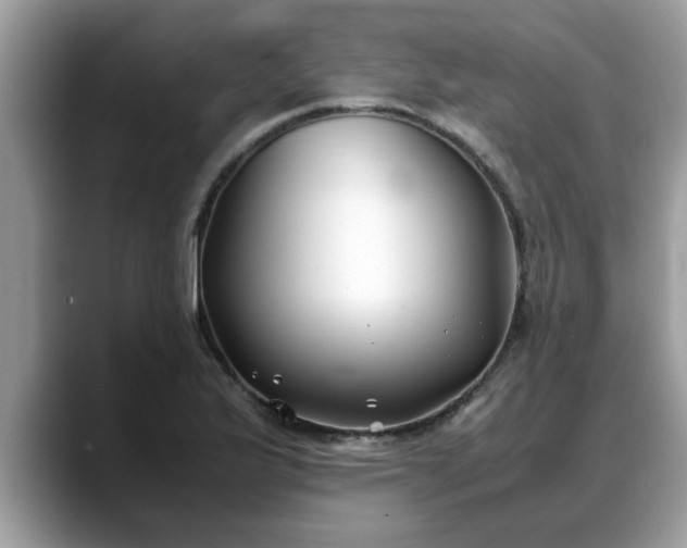 X0000088681175200706071420