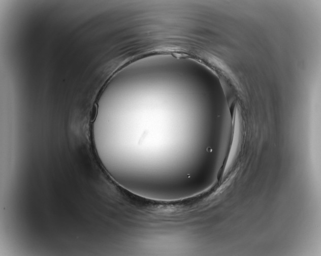 X0000088681177200706071420