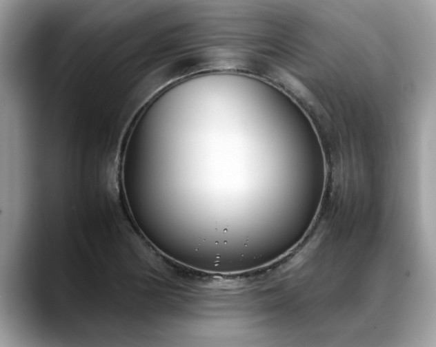 X0000088681178200706071420