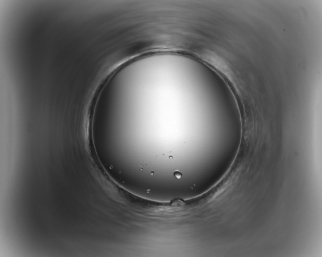 X0000088681179200706071420