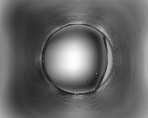 X0000088681181200706071420