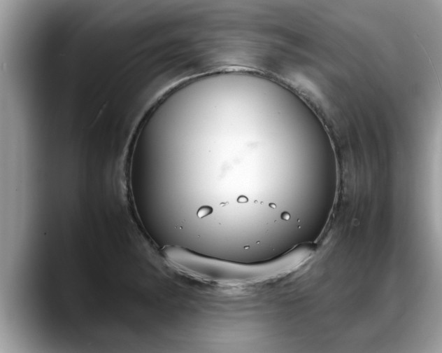 X0000088681182200706071420