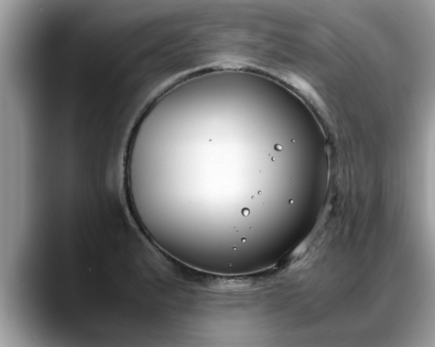 X0000088681183200706071420
