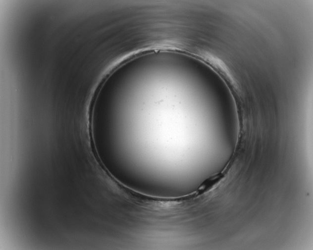 X0000088681184200706071420