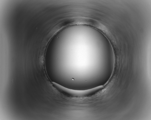 X0000088681185200706071420