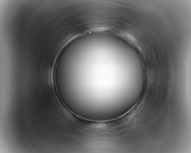 X0000088681186200706071420