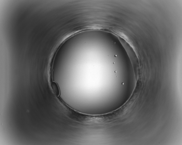 X0000088681187200706071420