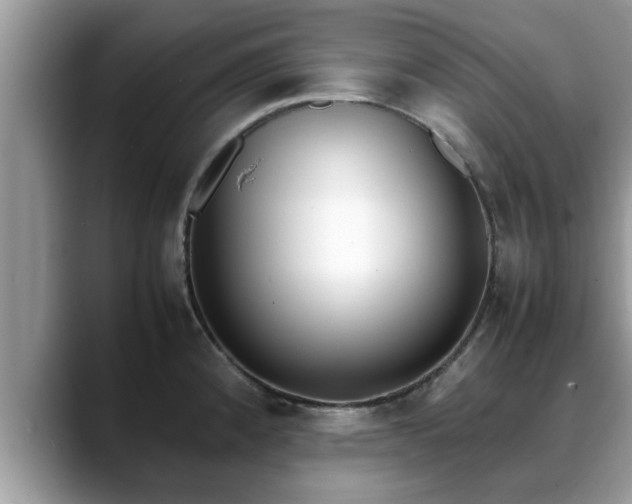 X0000088681192200706071420