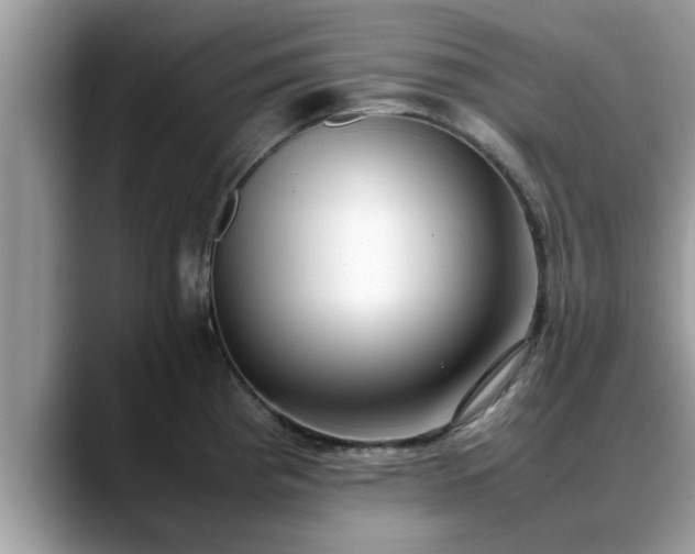 X0000088681193200706071420
