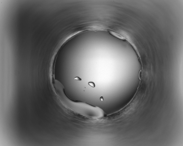 X0000088681195200706071420