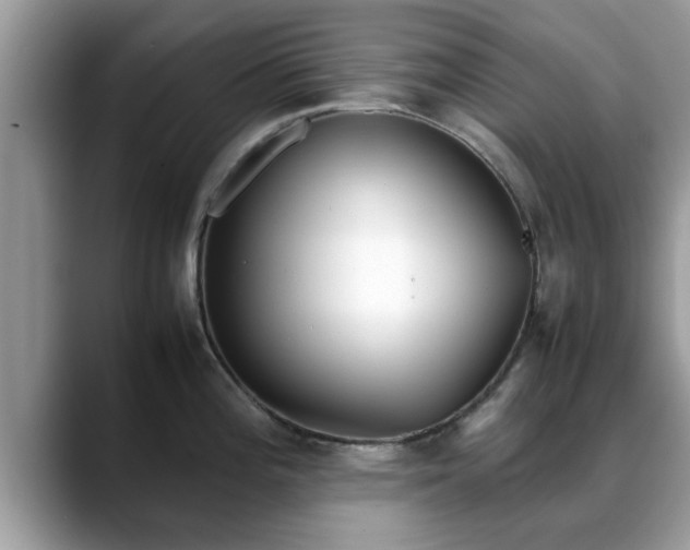 X0000088681196200706071420