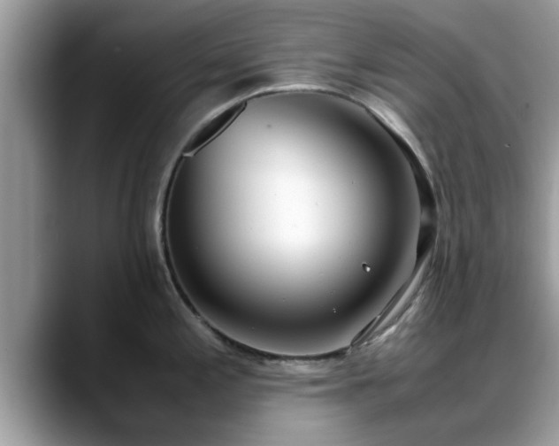 X0000088681197200706071420
