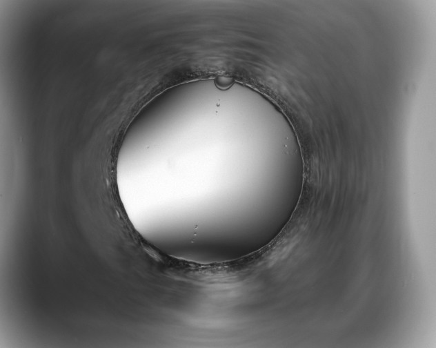X0000088681201200706071419