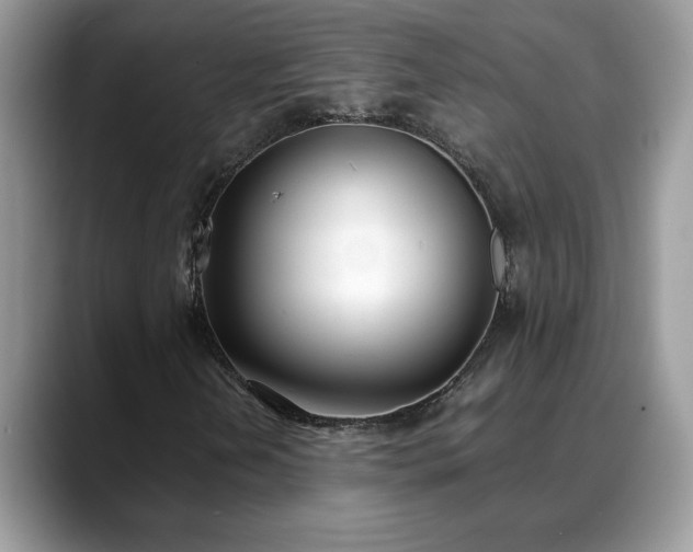 X0000088681202200706071419