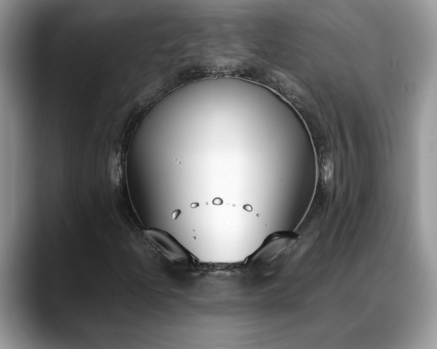 X0000088681204200706071419
