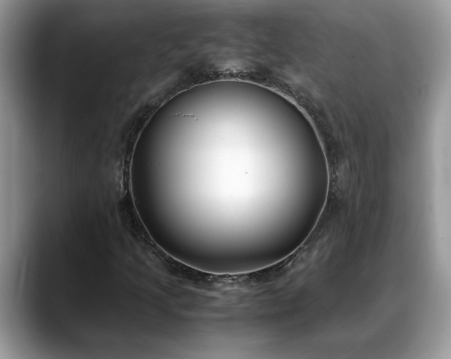 X0000088681205200706071419