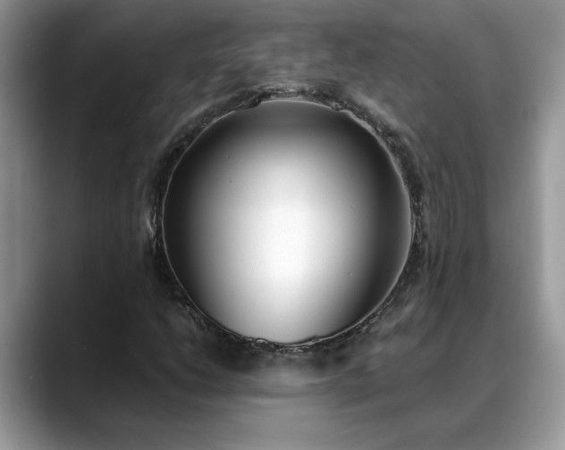 X0000088681206200706071419