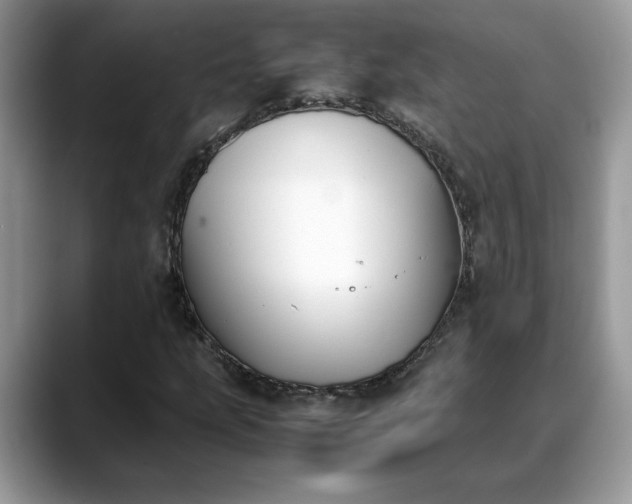 X0000088681207200706071419