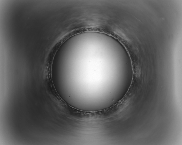 X0000088681208200706071419